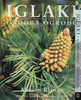 IGLAKI OZDOBA OGRODU ADRIAN BLOOM
