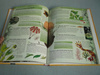 Chcę Wiedzieć Wszystko - Ilustrowana Encyklopedia Praca zbiorowa