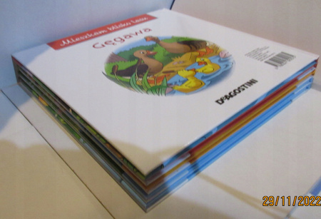 Chronimy las Drwal Praca zbiorowa