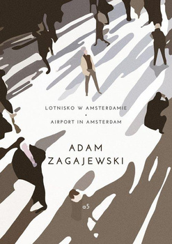 Lotnisko w Amsterdamie. Airport in Amsterdam