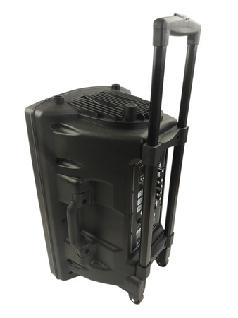 Głośniki Dynasonic Dynapro 12 BT USB FM MicroSD 700W