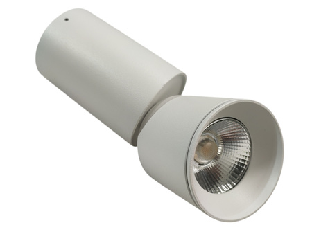 Oczko przegubowe natynkowe Nixa 10 W 800 lm biały