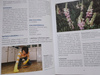 WIELKA ENCYKLOPEDIA MEDYCZNA TOM 17 i 18 Praca zbiorowa