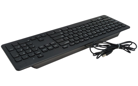 Klawiatura przewodowa USB Dell KB-113P (czarna)