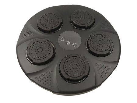 TRENAŻER DO BOKSU TABLICA MUZYCZNA BLUETOOTH MASZYNA BOKSERSKA TRENINGOWA