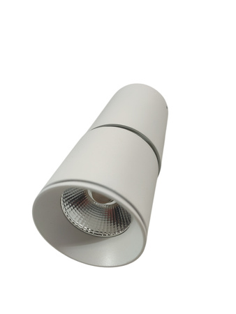 Oczko przegubowe natynkowe Nixa 10 W 800 lm biały