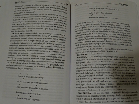 Słownik wiedzy o literaturze Praca zbiorowa