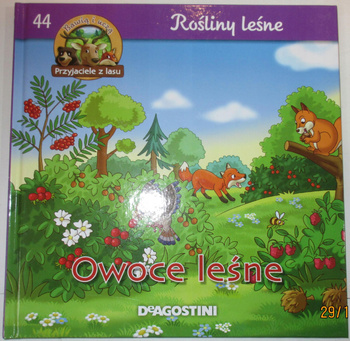 Rośliny leśne Owoce leśne Praca zbiorowa