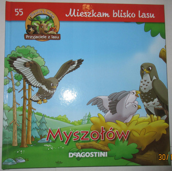 MYSZOŁÓW - mieszkam blisko lasu Praca zbiorowa