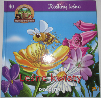 Rośliny leśne Leśne kwiaty Praca zbiorowa