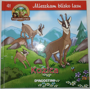 Mieszkam blisko lasu Kozica. Praca zbiorowa