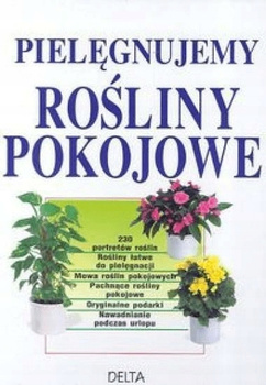 Pielęgnujemy rośliny pokojowe