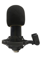 Mikrofon pojemnościowy BM800 MIC03