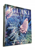 IGLAKI OZDOBA OGRODU ADRIAN BLOOM