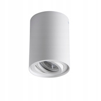 Oprawa sufitowa punktowa BORD XS DLP-50-W