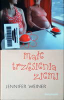 Małe trzęsienia ziemi Jennifer Weiner