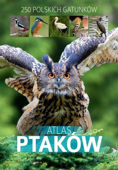 Atlas ptaków Dominik Marchowski